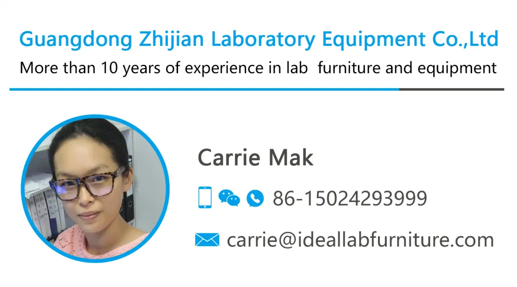 Biology Physics Used Lab High School Furniture Lab Bench