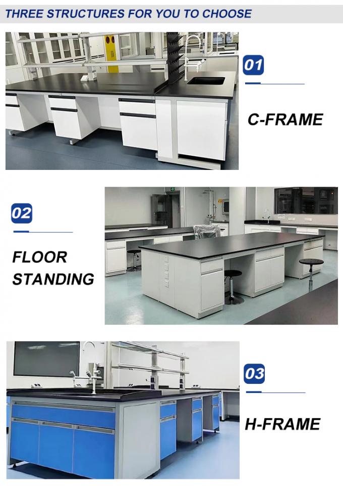 Structure Floor Standing Lab Wall-Mounted Bench High Durability for Superior Laboratory Performance 4