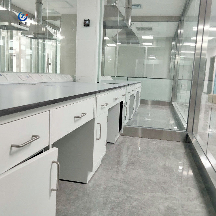 Adjustable Lab Wall Bench Side Anti Corrosion High Durability W750*H850mm