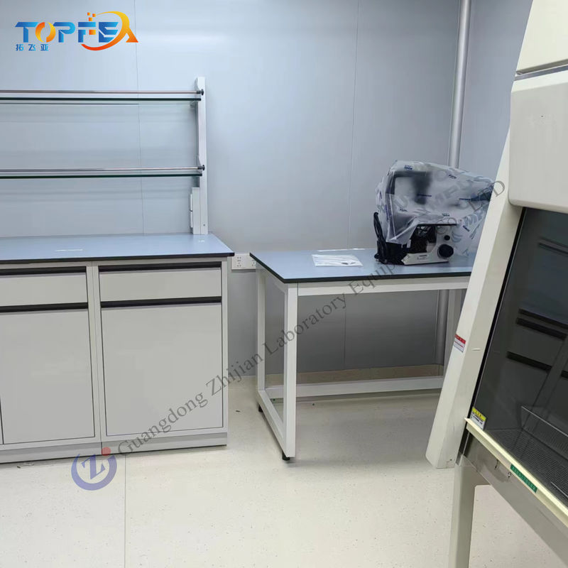 Streamline Your Lab With Steel Laboratory Wall Bench Length*W750*H850mm Customizable