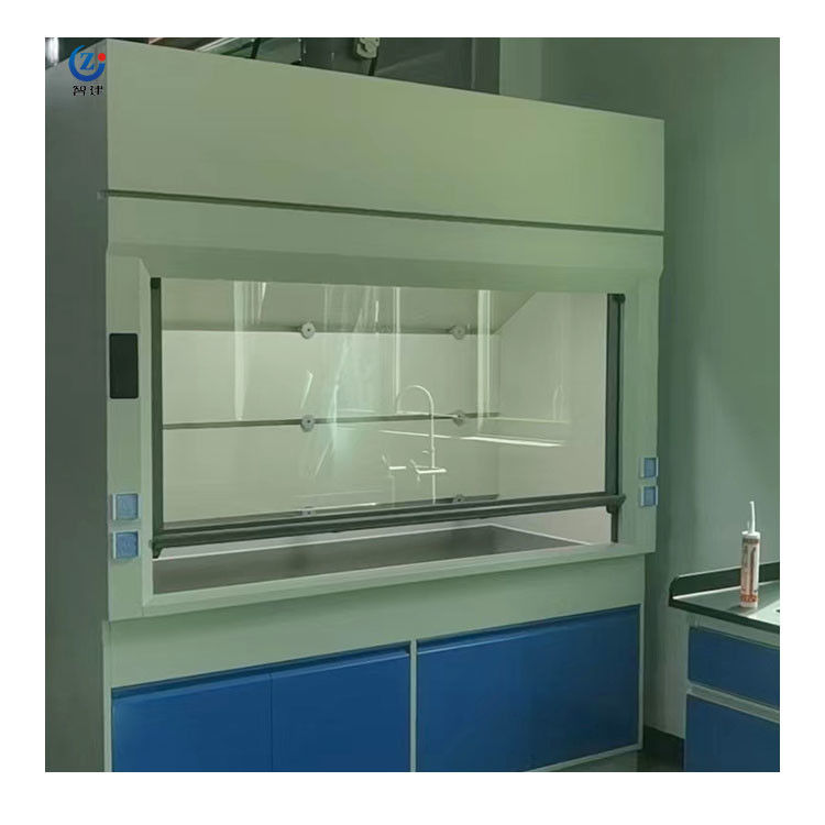 Easy Installation Steel Fume Hood with High Durability Customizable in Black or Customized