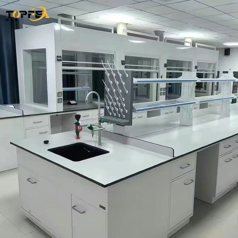 Low Maintenance and Easy Installation Steel Fume Hood for Effective Air Extraction