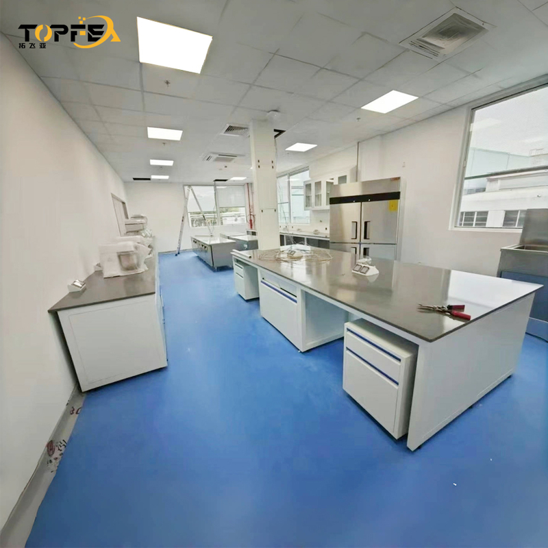 200-250 Kg Load Capacity Lab Tables Work Benches Customized for Customized Workspaces