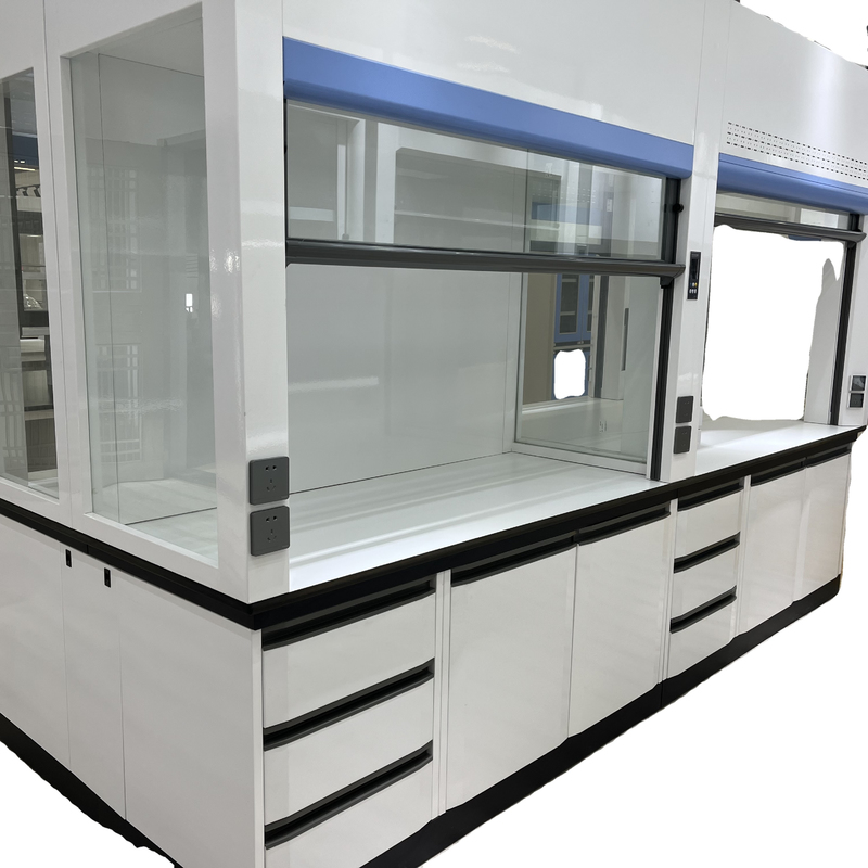 304 Stainless Steel Lab Fume Hood with All Steel Construction and Customizable Size for Chemical Institutes