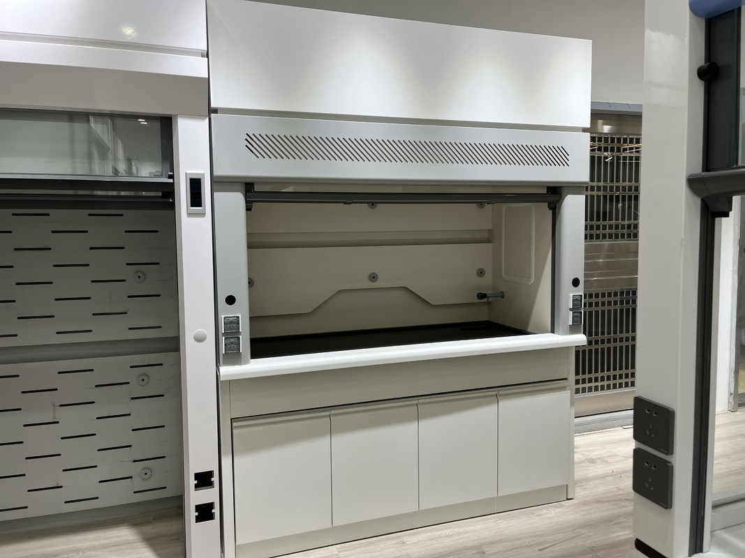 304 Stainless Steel Lab Fume Hood with All Steel Construction and Customizable Size for Chemical Institutes