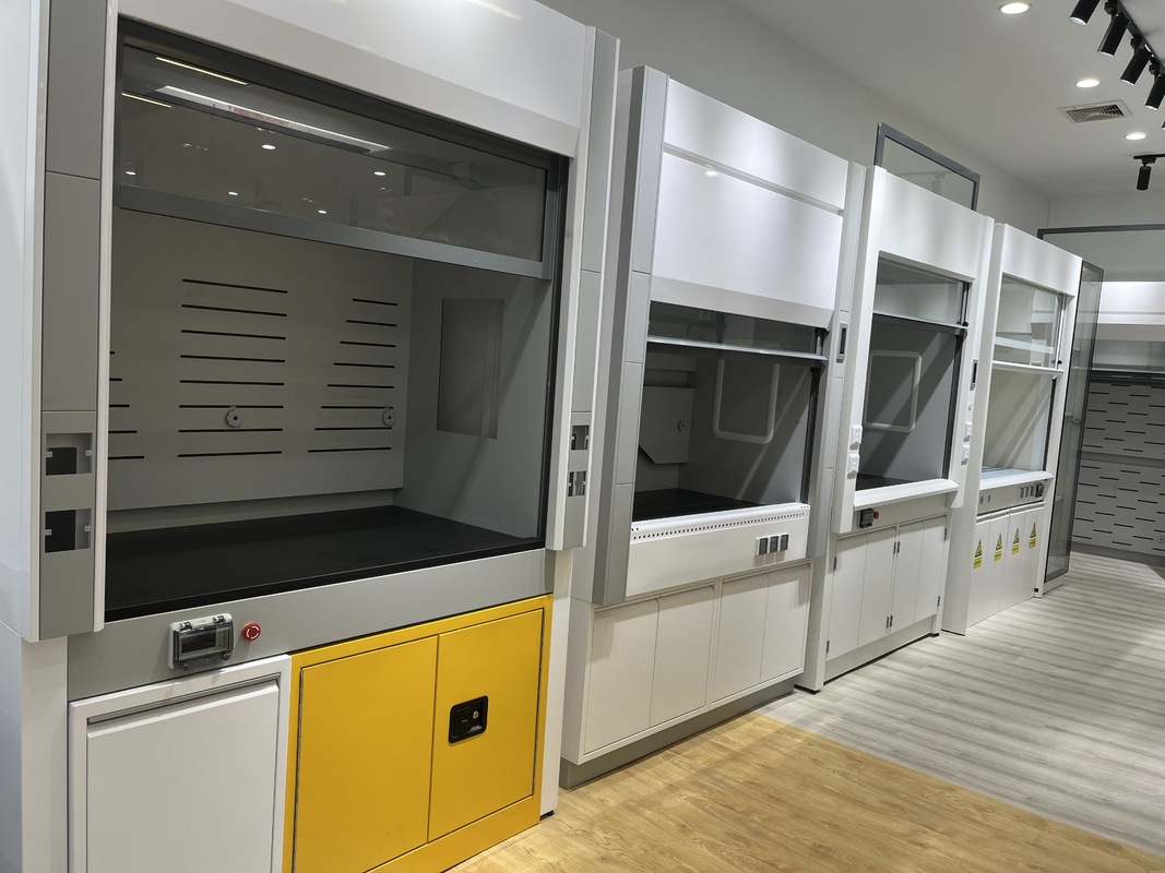 304 Stainless Steel Lab Fume Hood with All Steel Construction and Customizable Size for Chemical Institutes