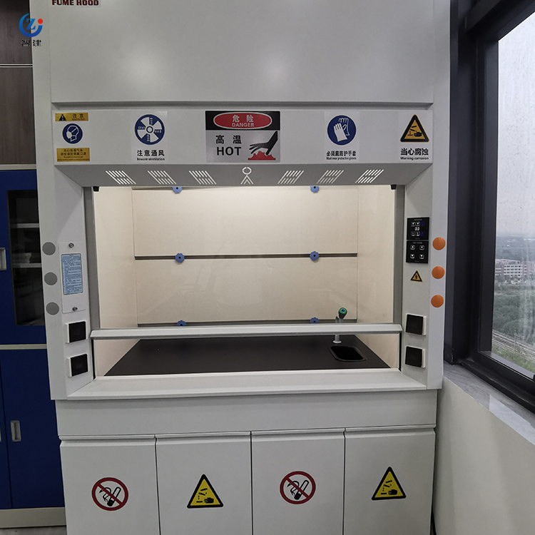 Heat Resistant All Steel Construction Lab Fume Hood with Customizable Size for Laboratory Use