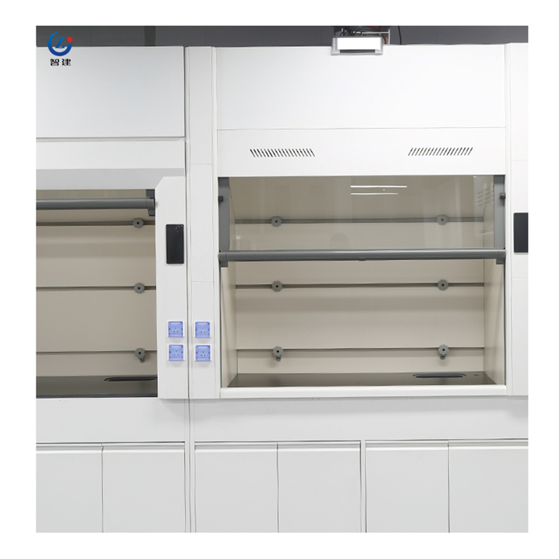 Heat Resistant All Steel Construction Lab Fume Hood with Customizable Size for Laboratory Use