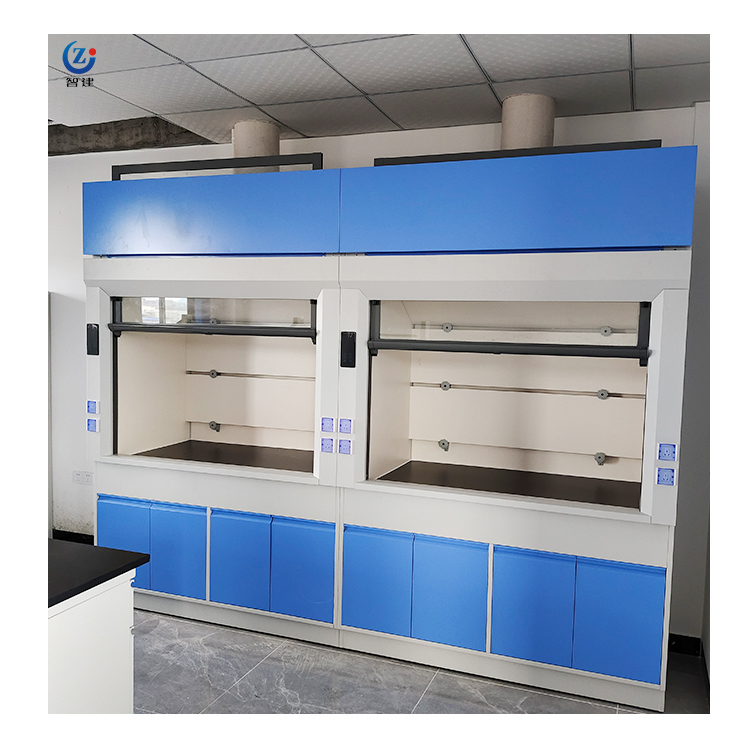All Steel Construction Lab Fume Hood with Customizable Size and Floor-mounted Design for Chemical Labs