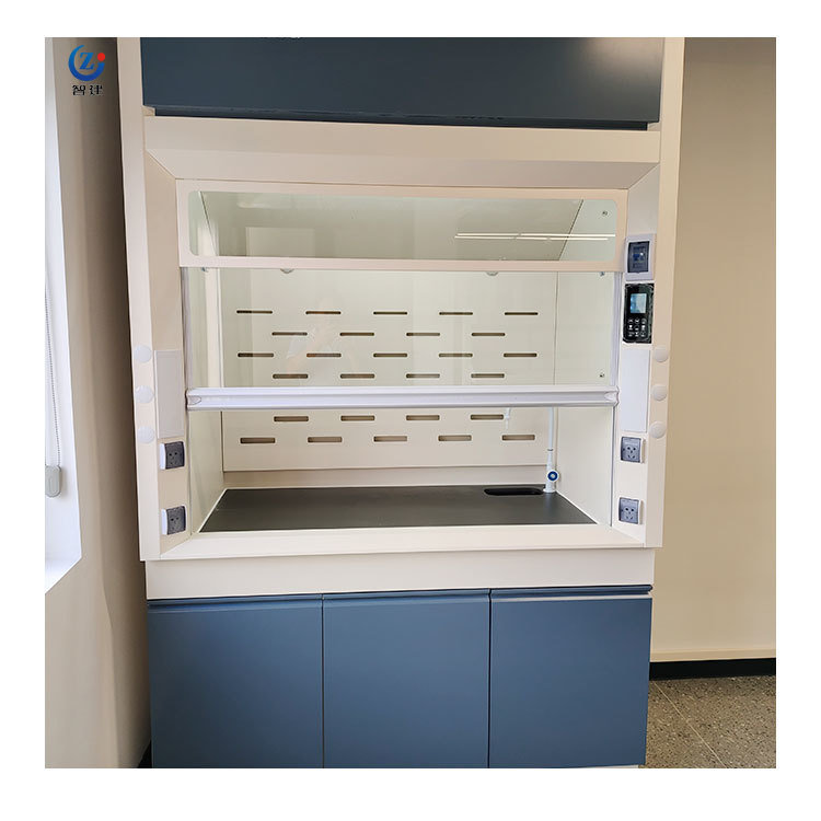 All Steel Construction Lab Fume Hood with Customizable Size and Floor-mounted Design for Chemical Labs