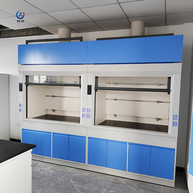 Explosion Proof Lab Fume Hood with Customizable Size and All Steel Construction for Safe Chemical Handling
