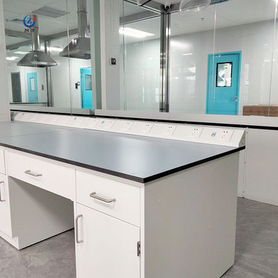Alkali Resistant Lab Wall Bench Phenolic Resin Working Table Top W750*H850mm