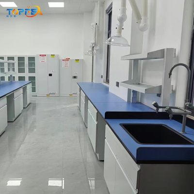 Customizable Lab Wall Bench with Easy Installation and Testing Function Length*W750*H850mm