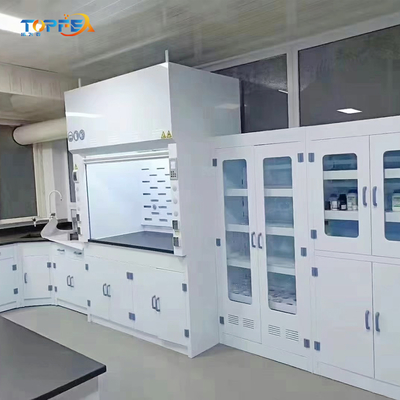 LED Lighting Steel Fume Hood with High Airflow and Long-lasting Durability