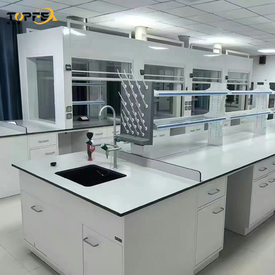 Low Maintenance and Easy Installation Steel Fume Hood for Effective Air Extraction